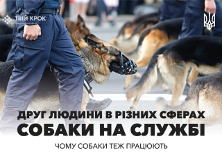 Дивитись фото Невидимі герої: Собаки на полі бою