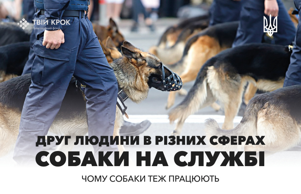 Дивитись фото Невидимі герої: Собаки на полі бою